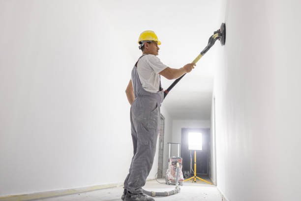 pintores economicos en cordoba